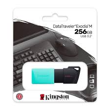 Kingston DataTraveler Exodia M - Unidad flash USB - 256 GB
